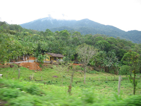 The countryside of Brazil