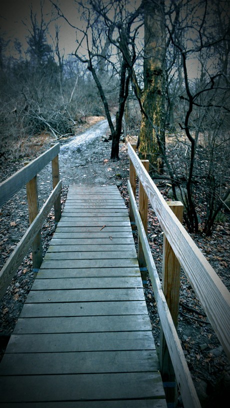 Babbling Brook a wooden bridge on the trail