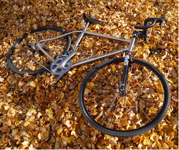 Stephen's Mudhoney SL lying in the autumn leaves