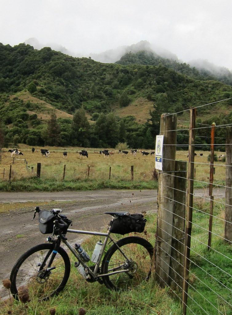 Seven on a country road