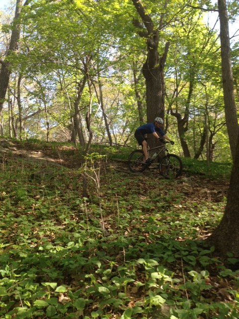 Riding in the woods