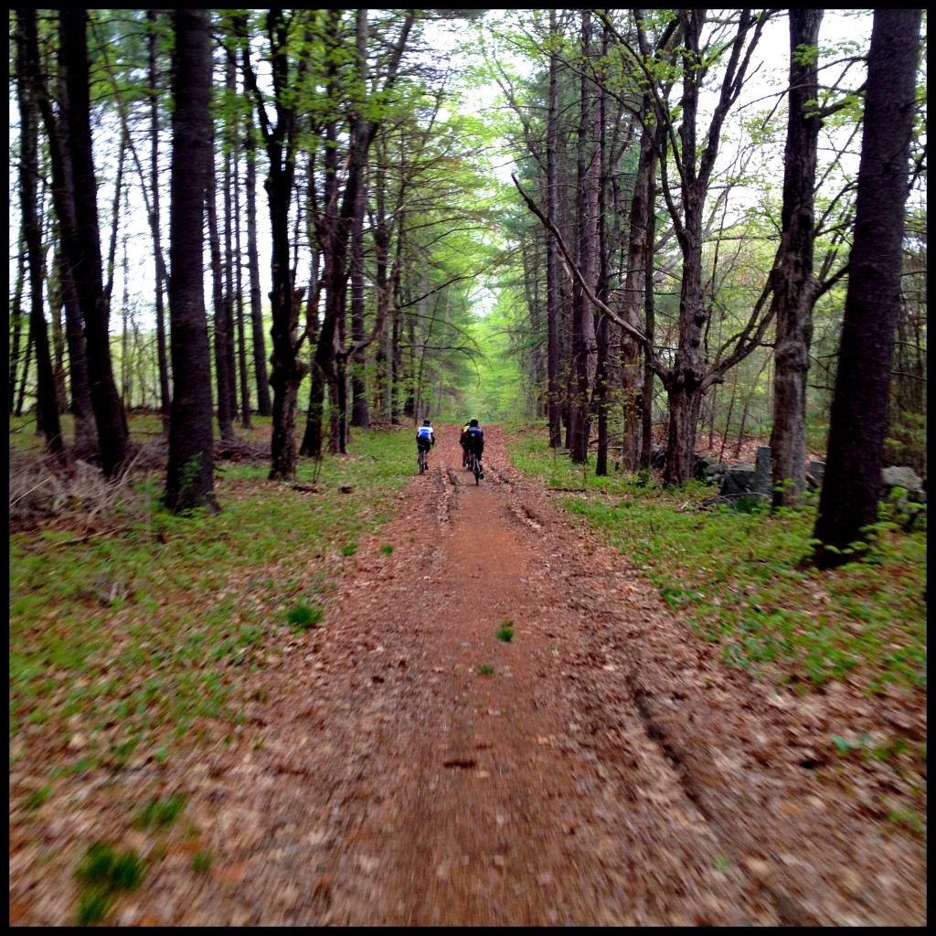 riders ascend a long woodland trail