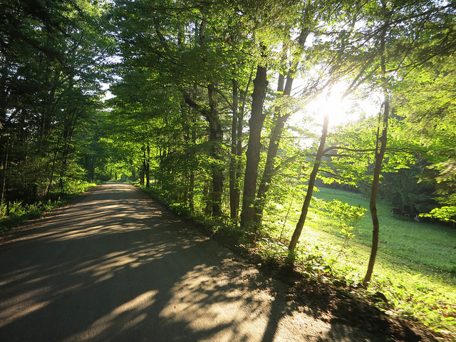 Sunny Vermont Road