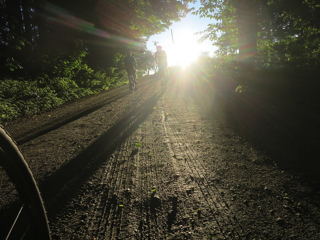Sunny dirt road