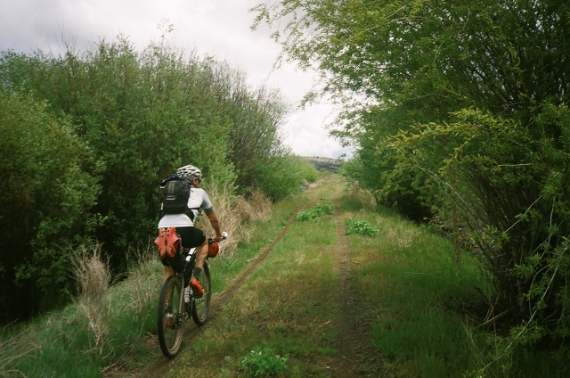 grassy trail leading upwards