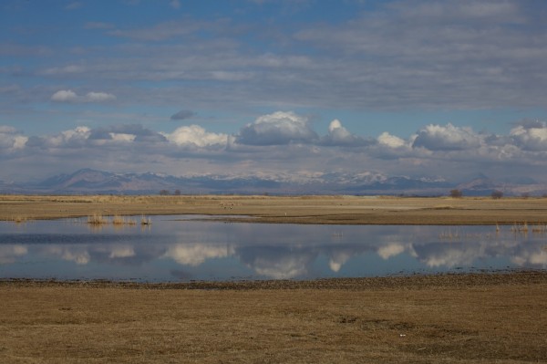 Clouds reflecthing on the a pond in a flat grassfield