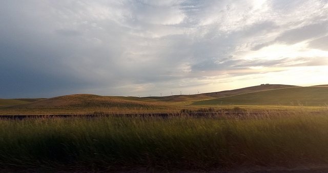 A beautiful field
