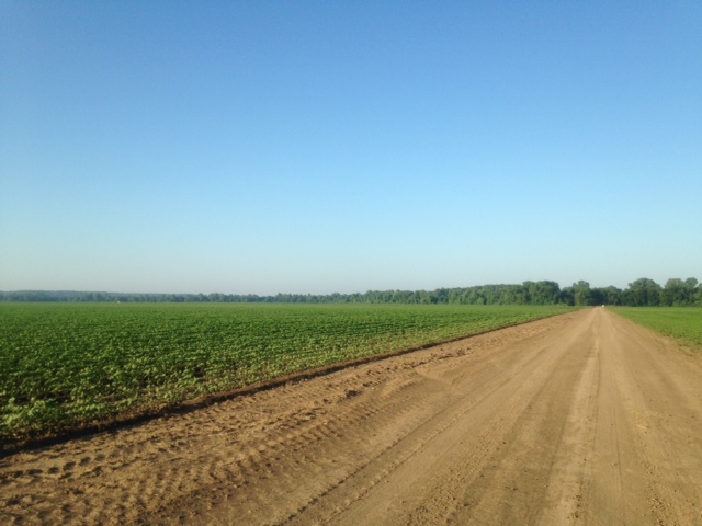 An endless dirt road on a farm