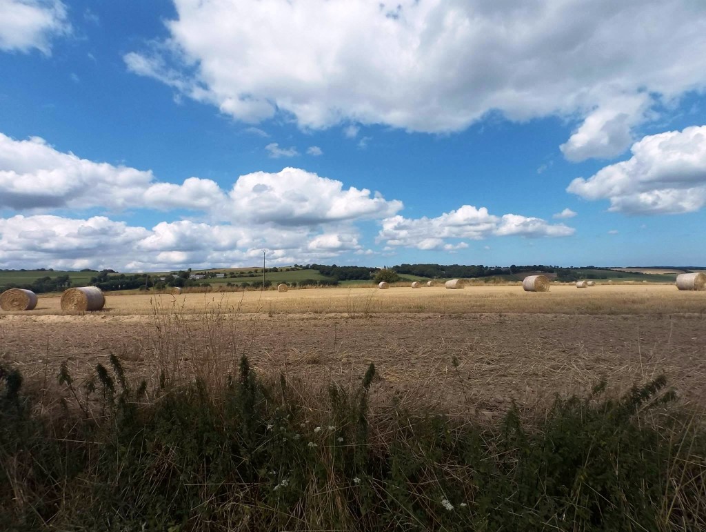 hayfields and clouds