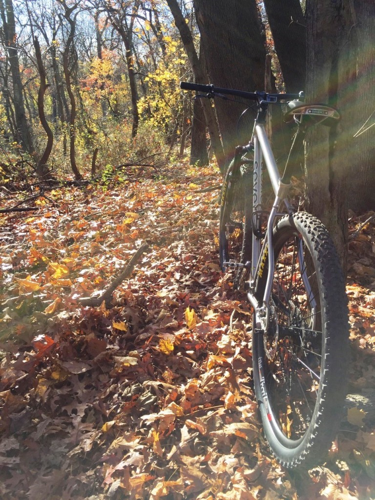 Sola SL in the woods
