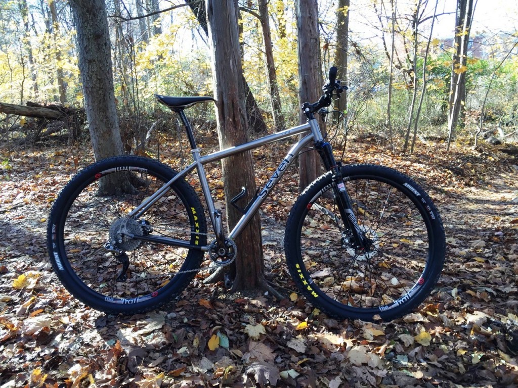 Sola SL in the woods