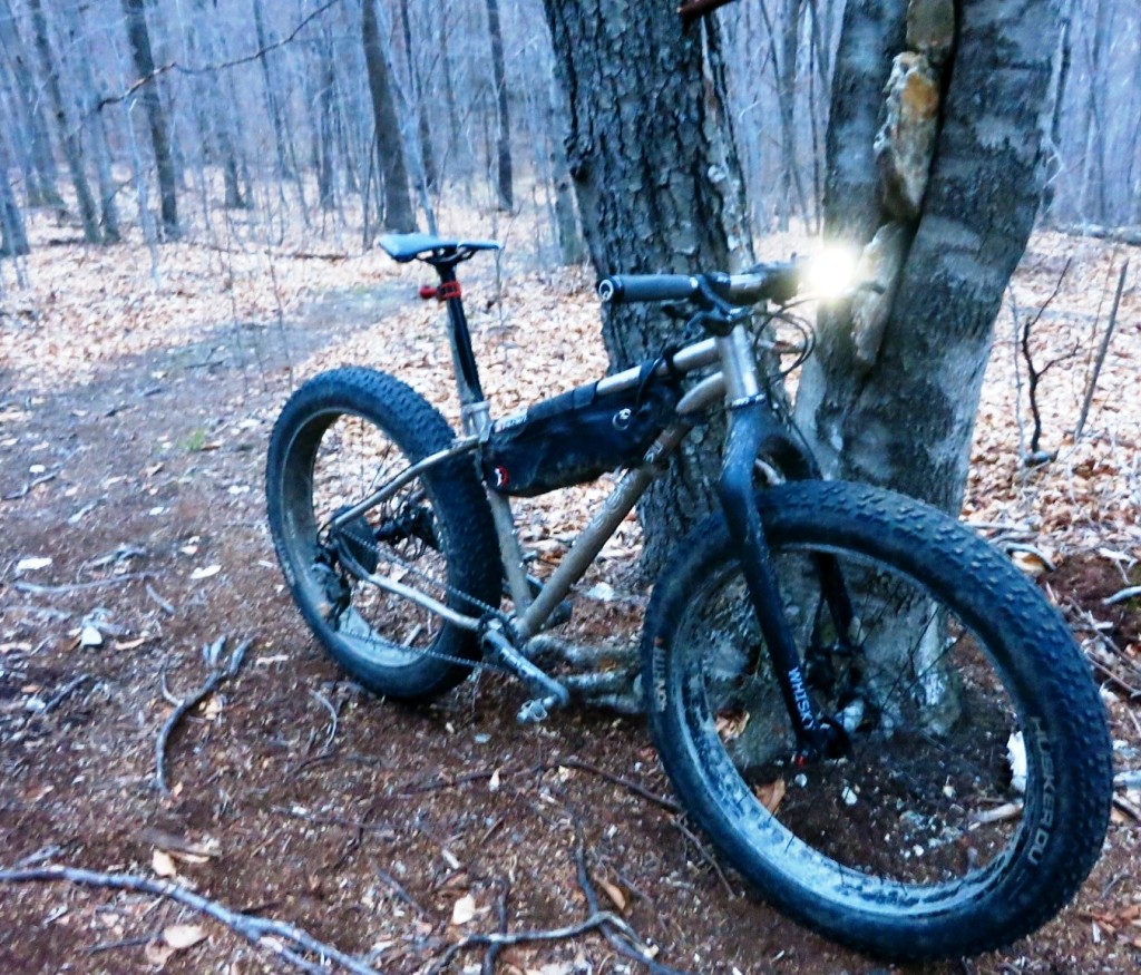 Treeline SL in the frosty woods