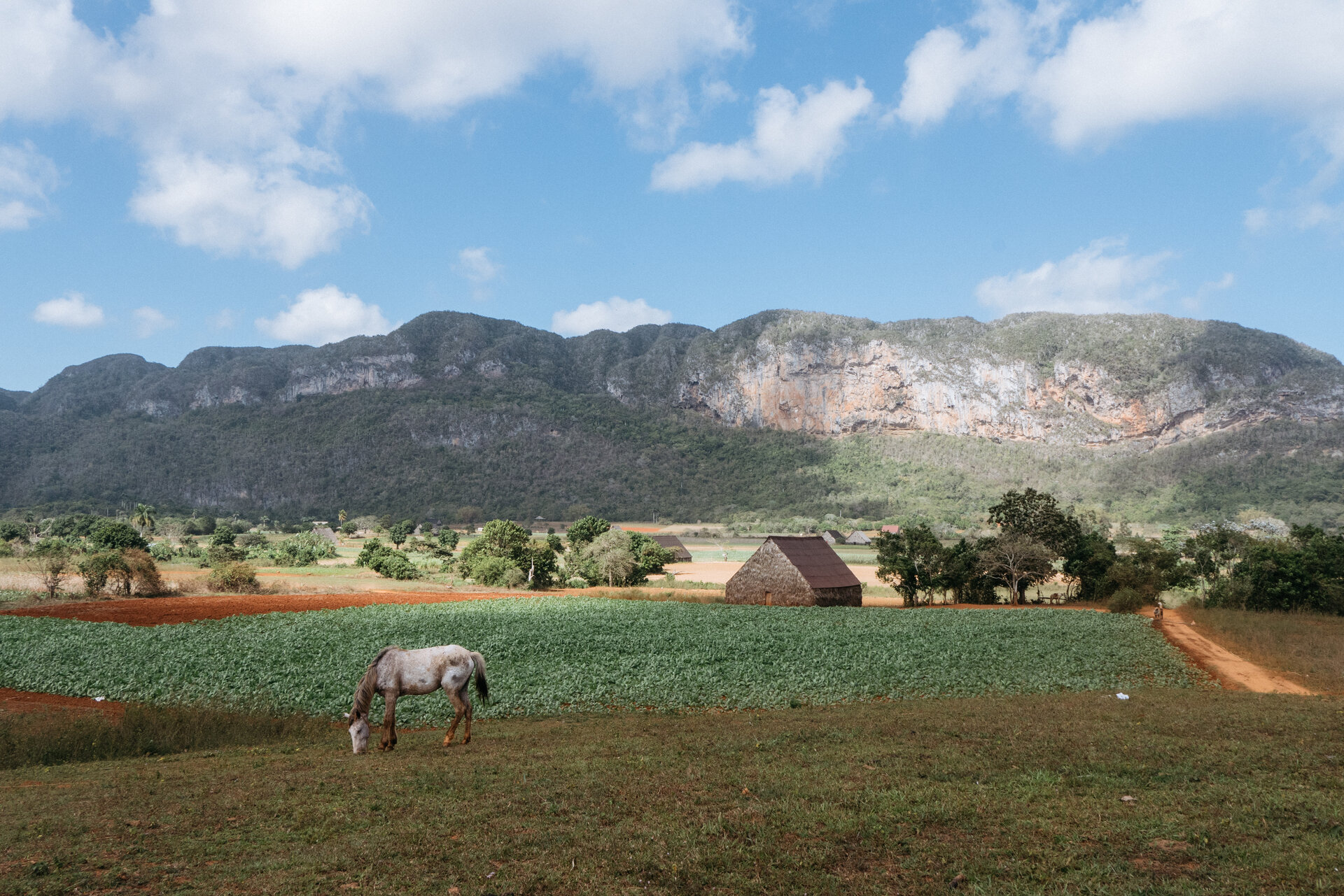 in the plains