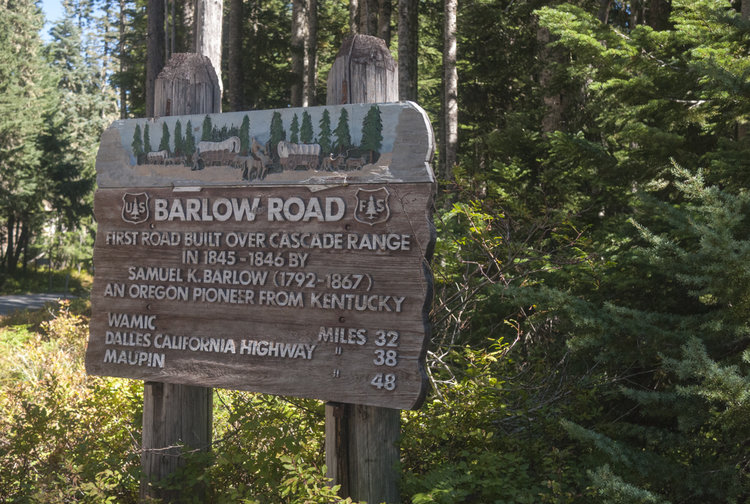 A wooden sign in the forest that reads 