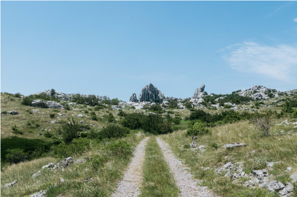 a carriage path to some rocky lands