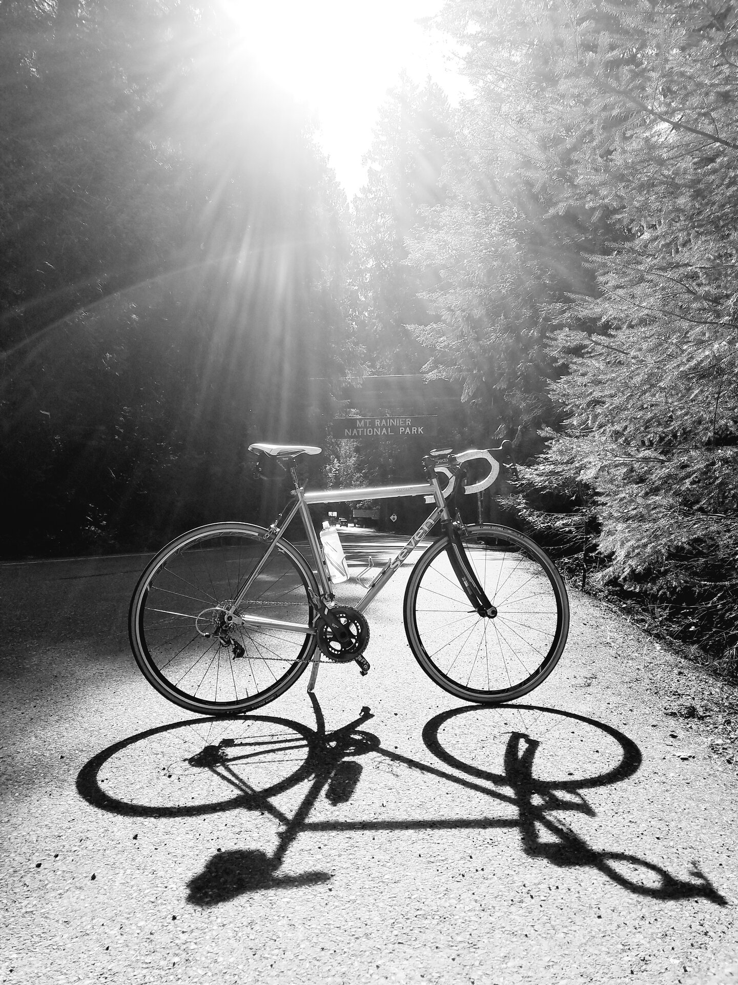 Seven in the sun