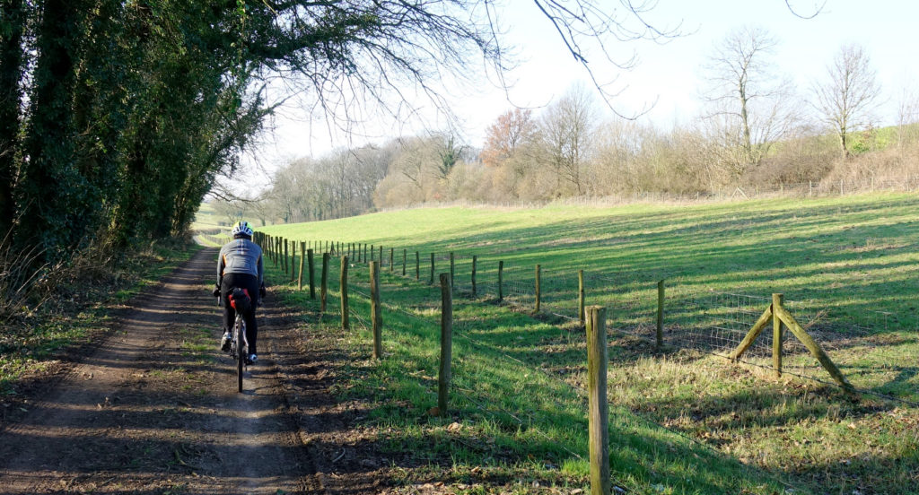 a cyclist rides on a shady road with a field