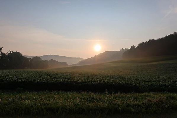 Sunrise over a misty field