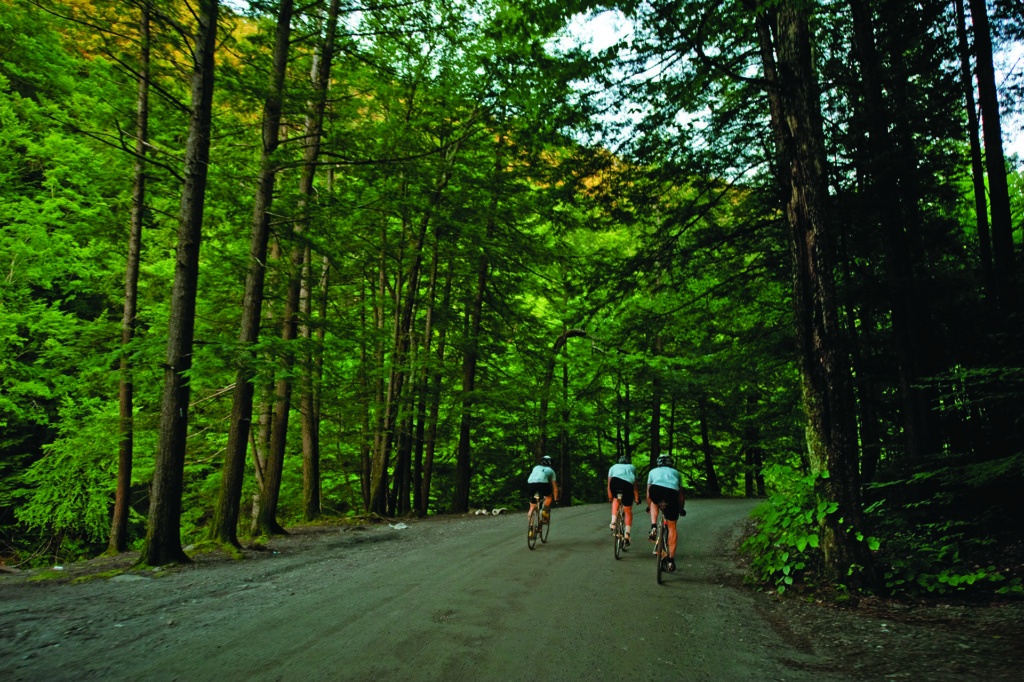 Three riders in big woods