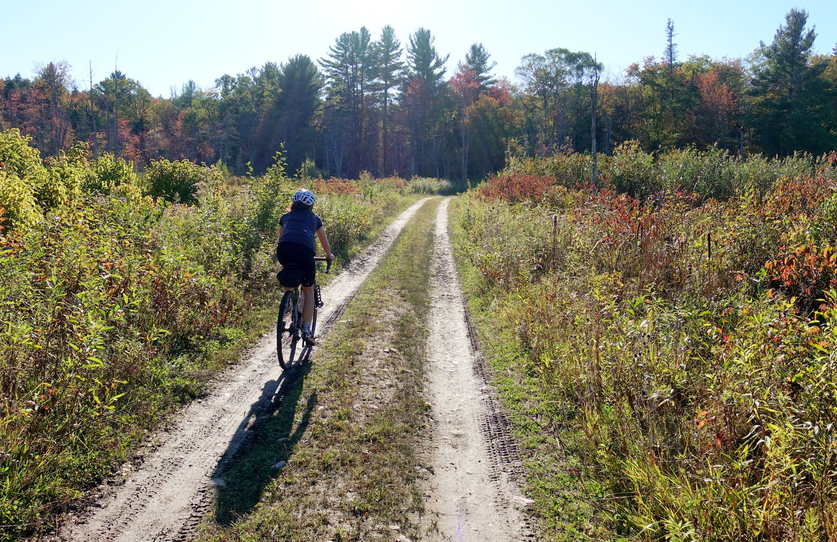 Evergreen Gravel Access Road