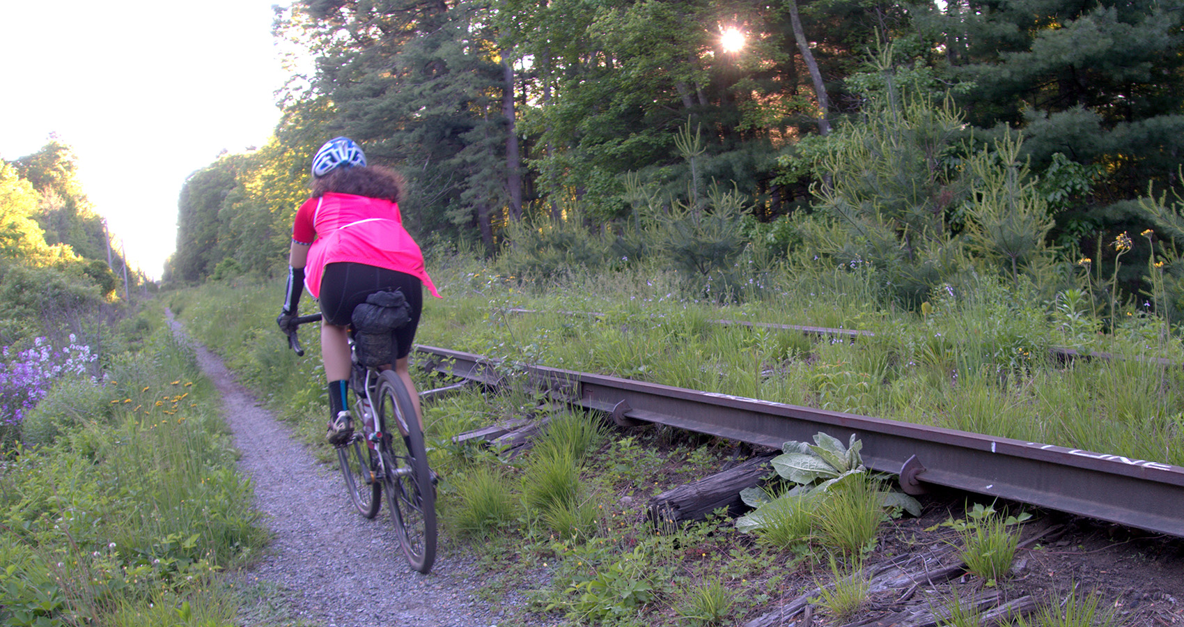 Evergreen Gravel Along Train Tracks