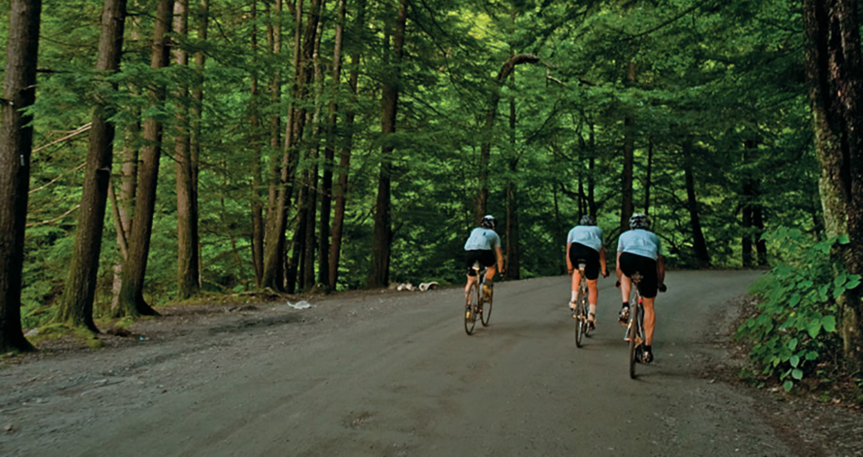 three cyclists moving fast down a forest road