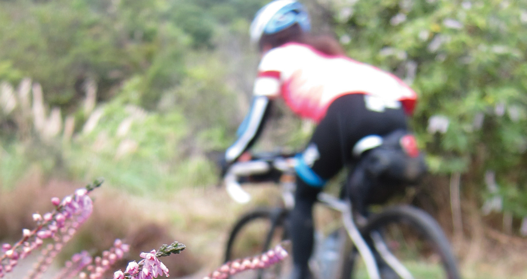 a rider too swift to catch with autofocus flies by some beautiful pink flowers in New Zealand