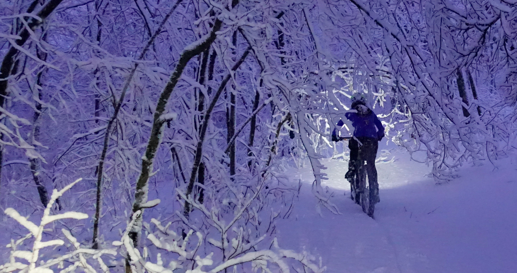 fat biking at dawn